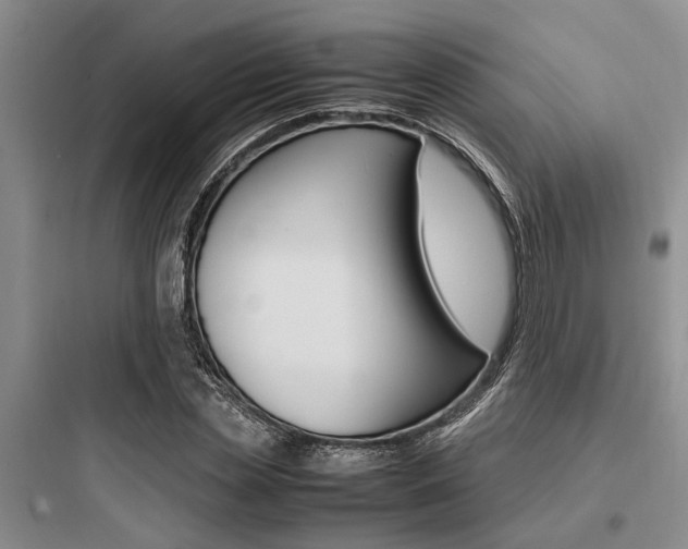 X0000097960829200803241039