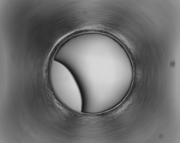 X0000097960830200803241039