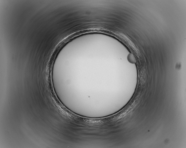 X0000097960831200803241039