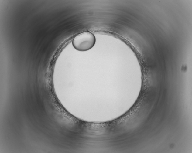 X0000097960832200803241039