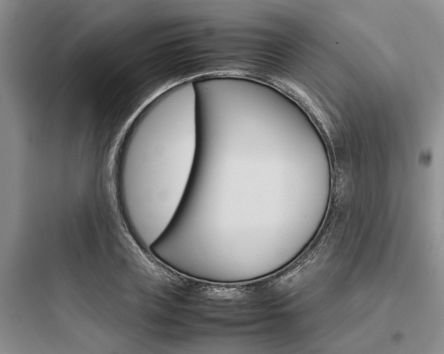 X0000097960835200803241040