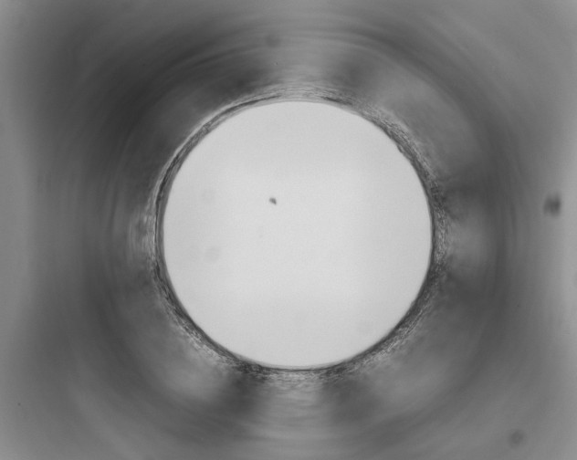 X0000097960836200803241040