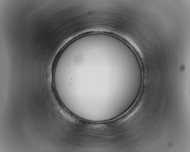 X0000097960837200803241040
