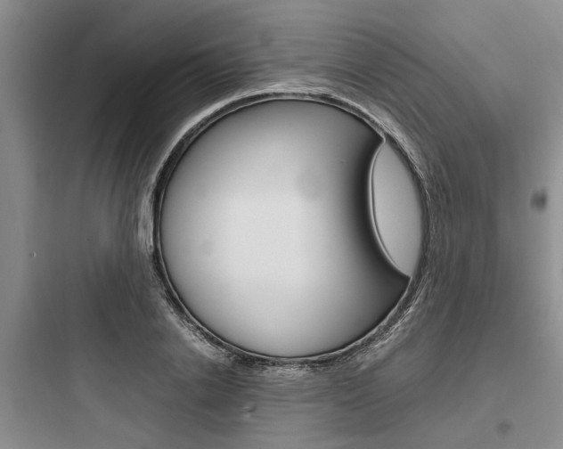 X0000097960838200803241040
