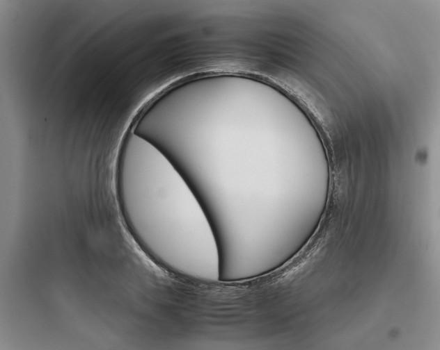 X0000097960839200803241040