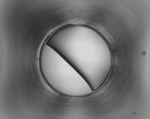 X0000097960840200803241040
