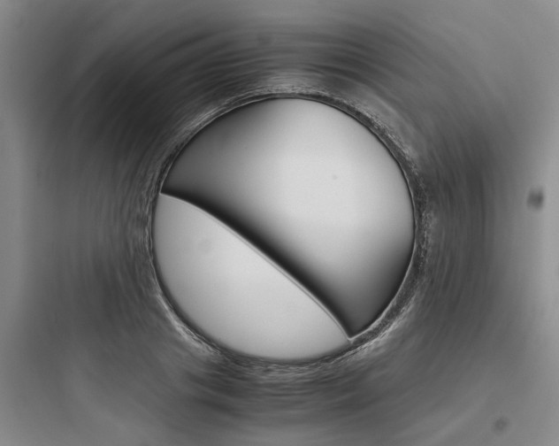X0000097960841200803241040