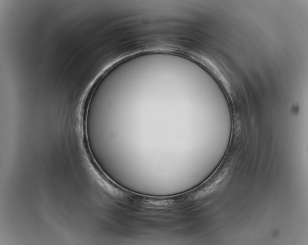 X0000097960843200803241040