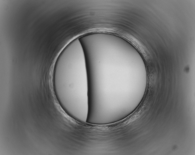X0000097960844200803241040