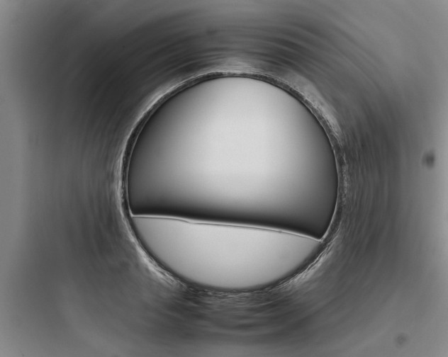X0000097960845200803241040