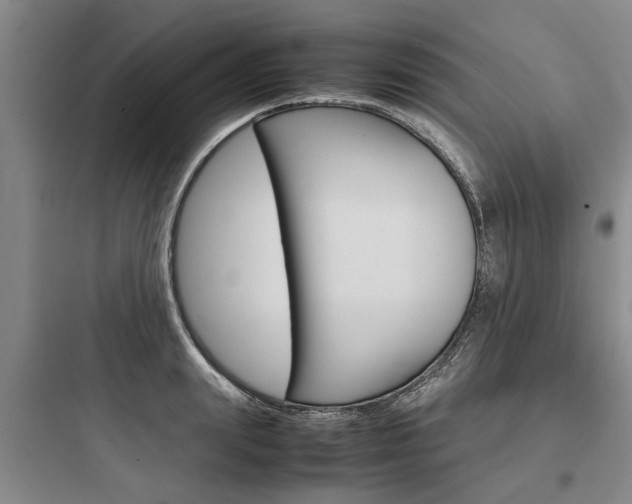 X0000097960847200803241040