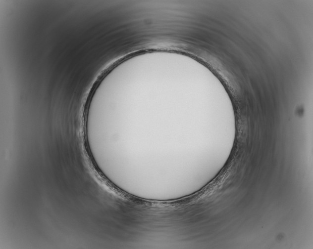 X0000097960848200803241040