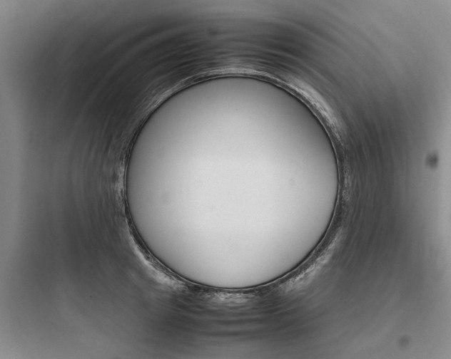X0000097960849200803241040