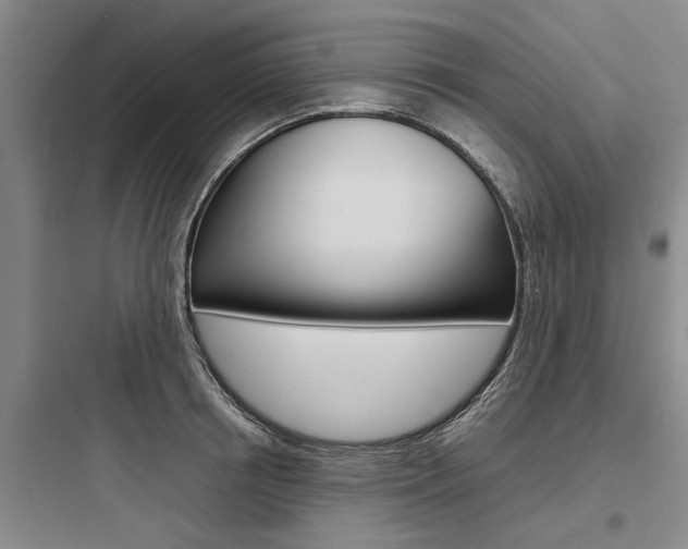X0000097960850200803241040
