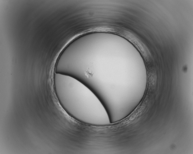 X0000097960852200803241040