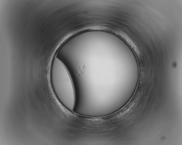 X0000097960853200803241040