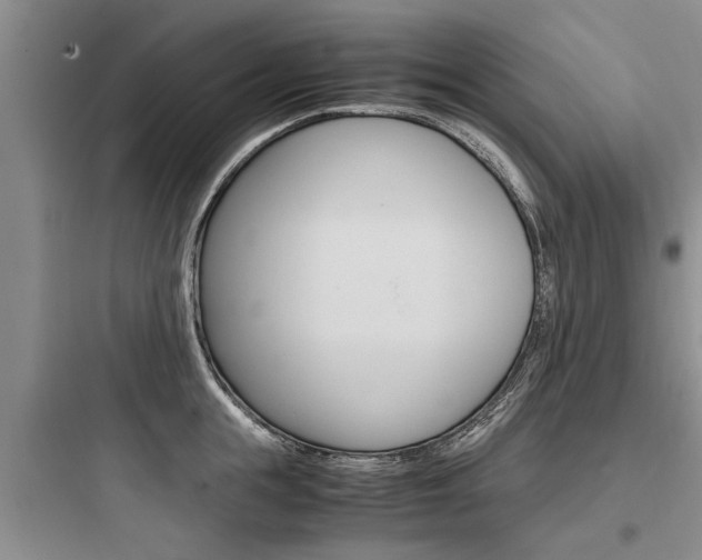 X0000097960855200803241040