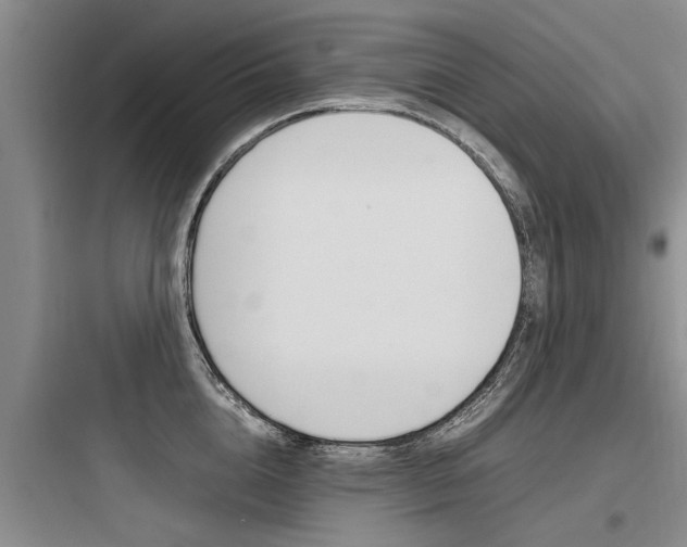 X0000097960856200803241040