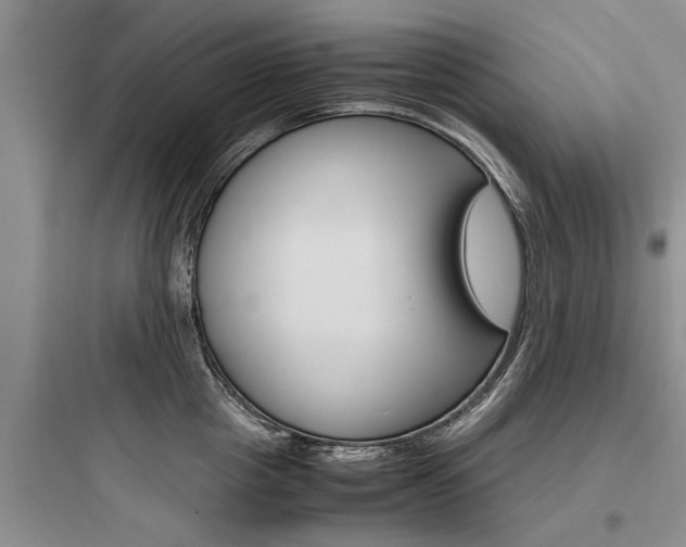 X0000097960857200803241040