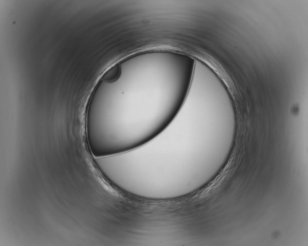 X0000097960858200803241040