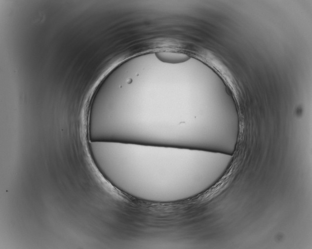 X0000097960859200803241040