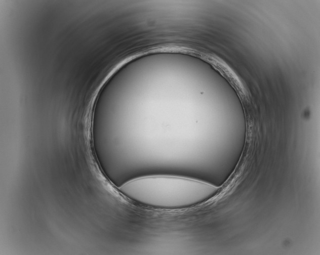 X0000097960860200803241040