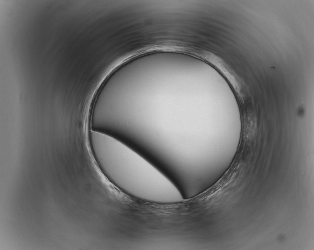 X0000097960861200803241040