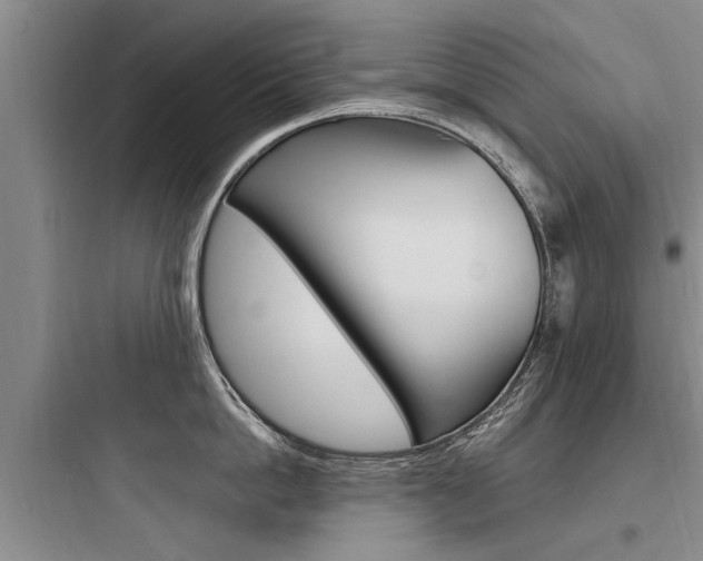 X0000097960862200803241040