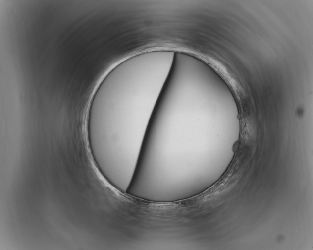 X0000097960863200803241040