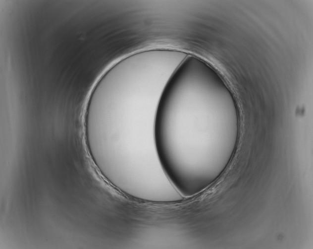 X0000097960864200803241040
