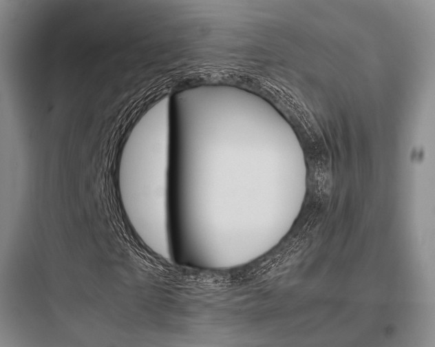 X0000097960865200803241039