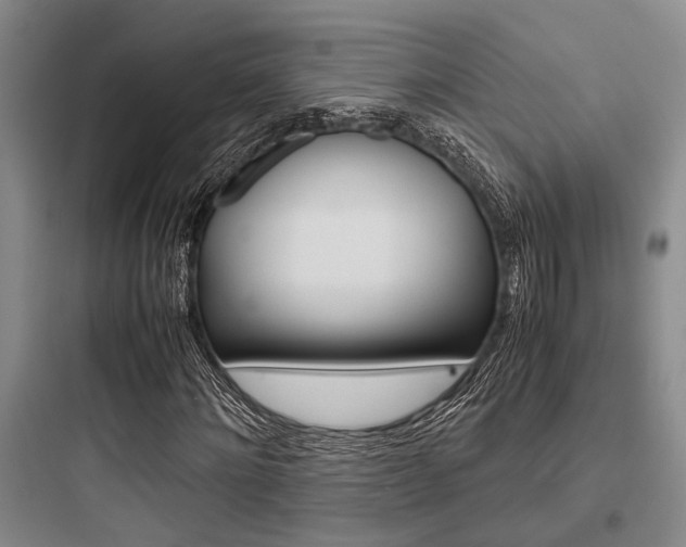 X0000097960868200803241039