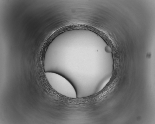 X0000097960871200803241039