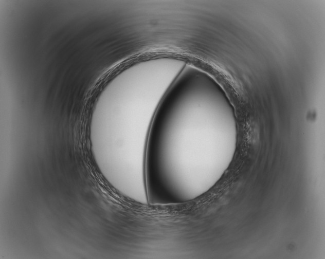 X0000097960872200803241039