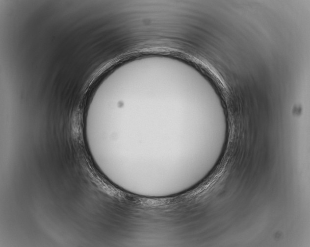 X0000097960874200803241039
