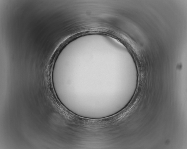 X0000097960875200803241039