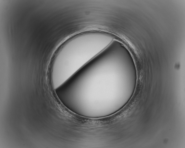 X0000097960877200803241039