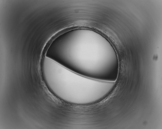 X0000097960880200803241039