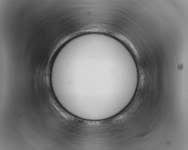 X0000097960882200803241039