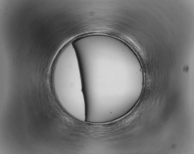 X0000097960883200803241039