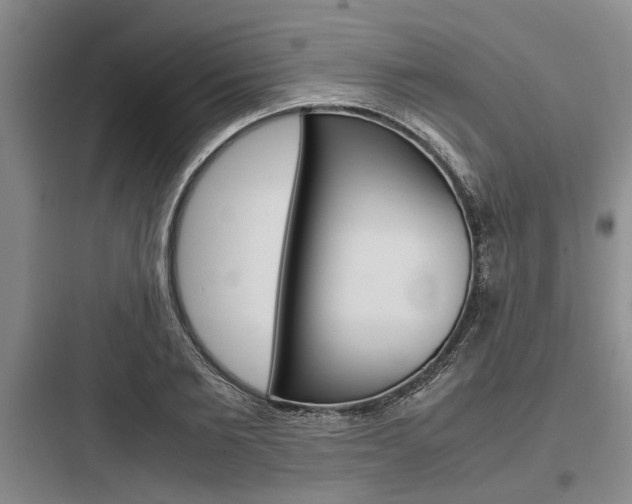 X0000097960885200803241039