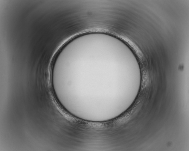 X0000097960886200803241039