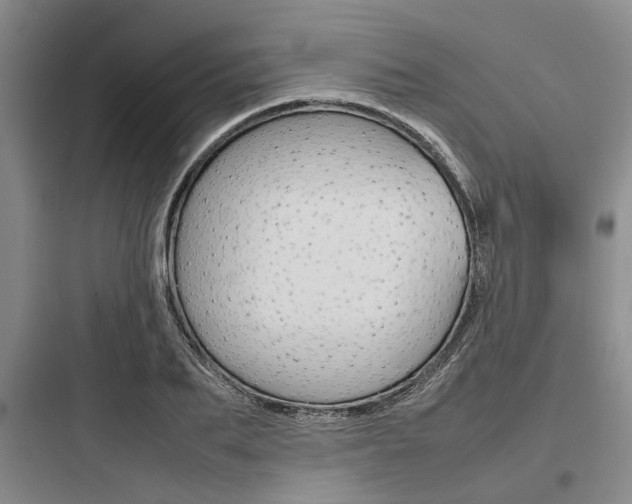 X0000097960887200803241039