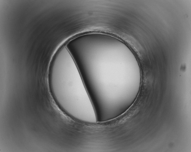X0000097960888200803241039