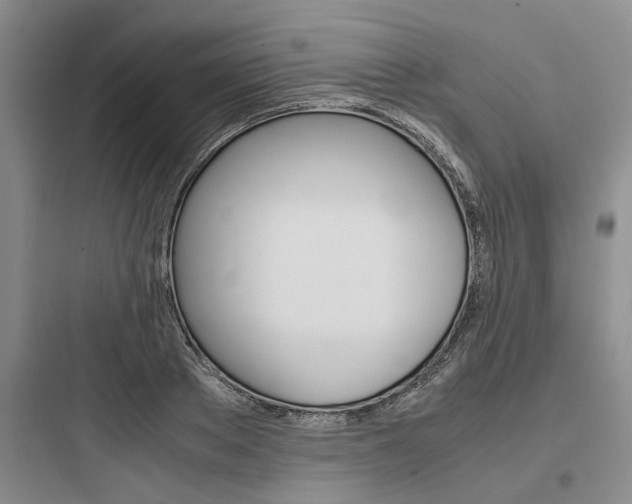 X0000097960889200803241039