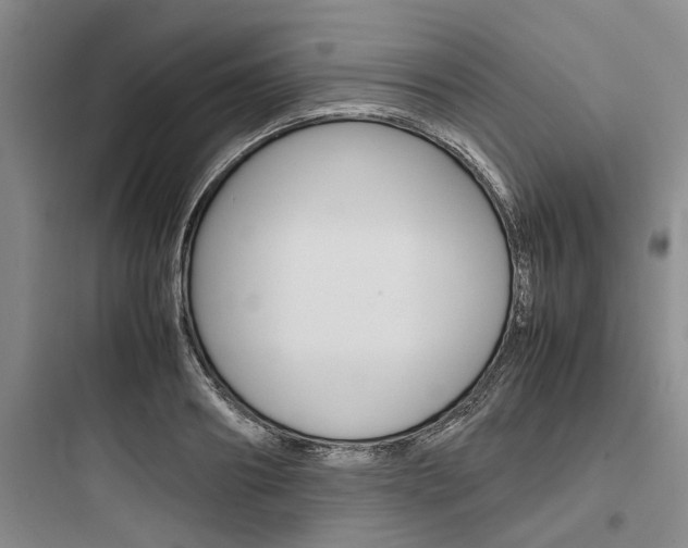 X0000097960890200803241039