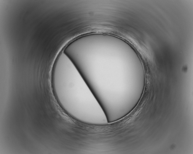 X0000097960891200803241039