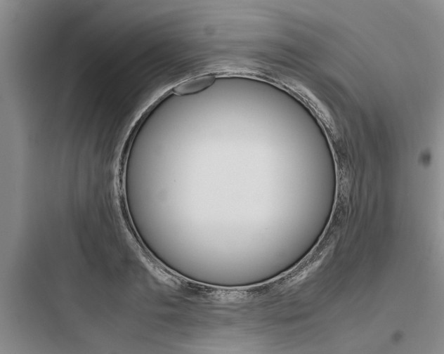 X0000097960893200803241039