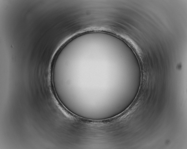 X0000097960894200803241039