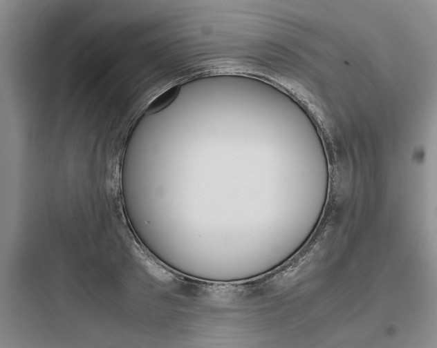 X0000097960897200803241039